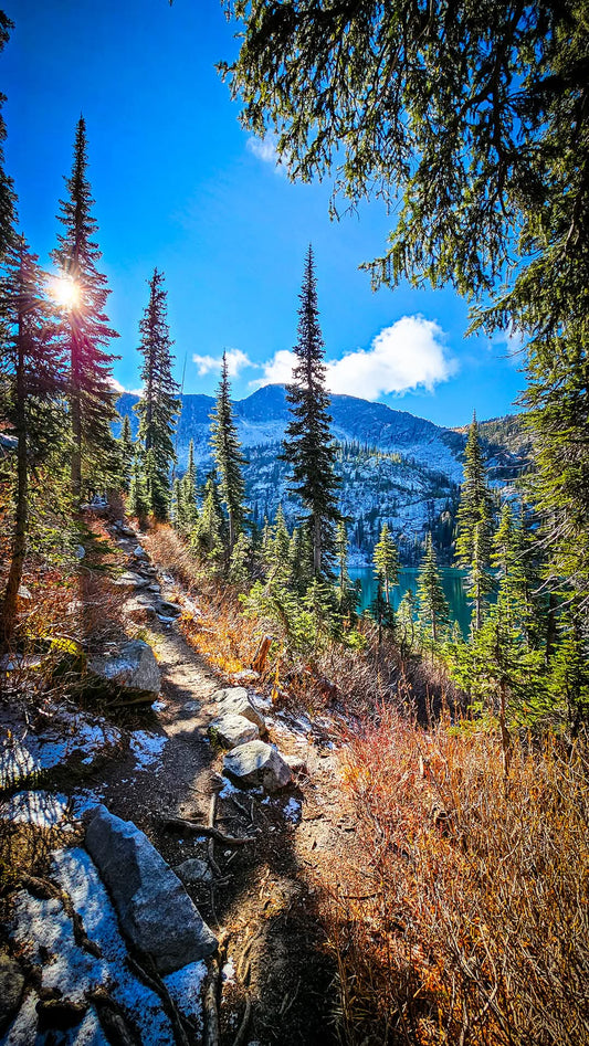 Art for Wild Places: A New Way to Give Back