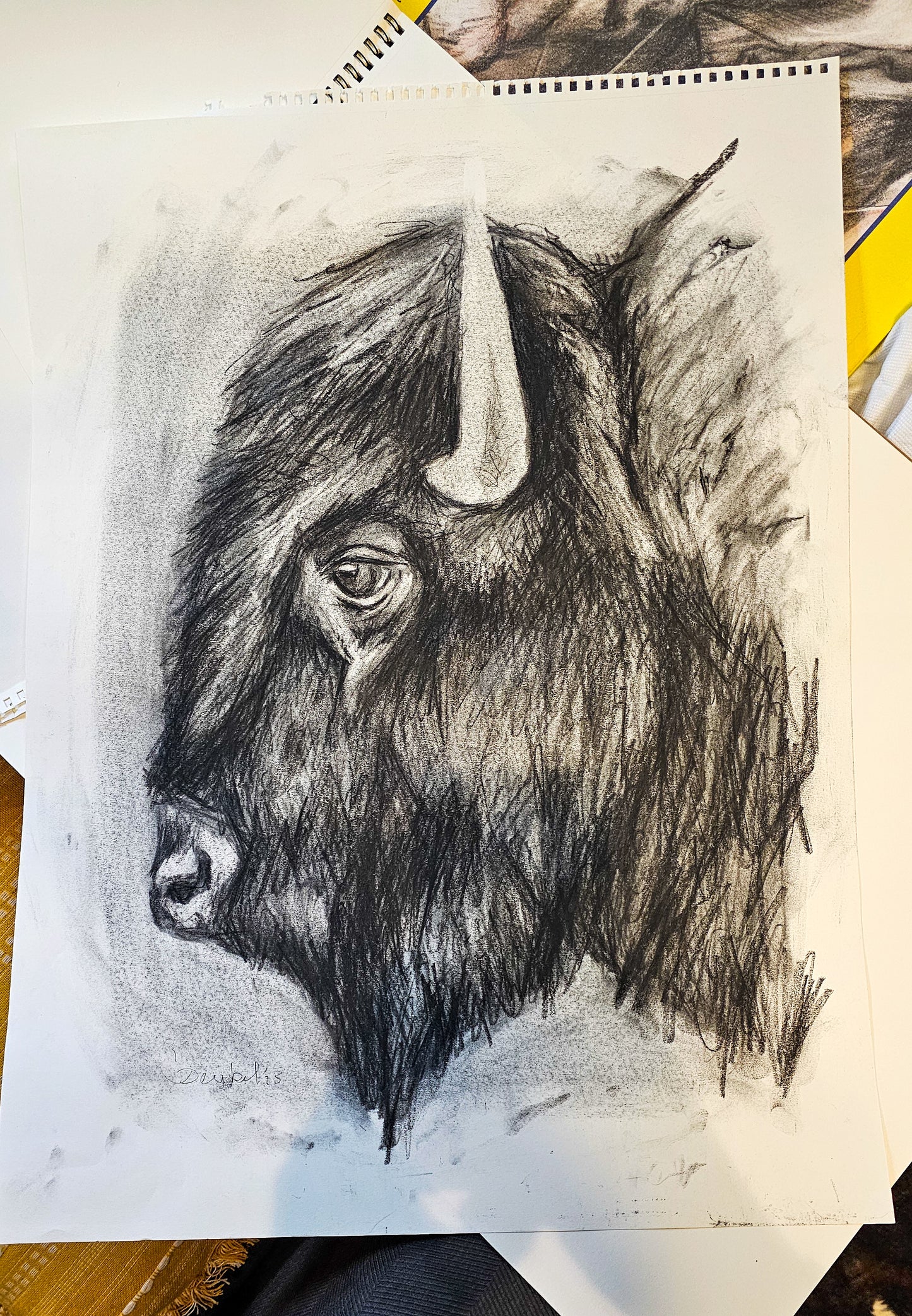 Original Charcoal Drawing of a Bison