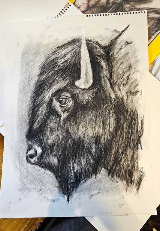 Original Charcoal Drawing of a Bison
