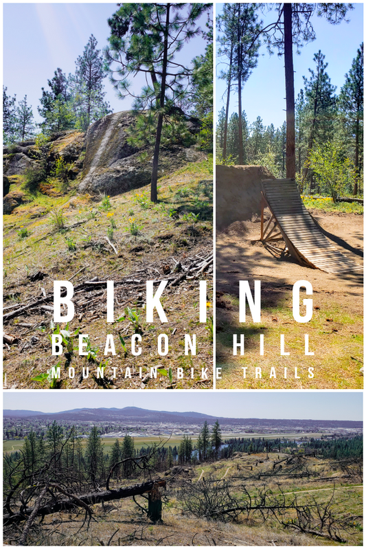 Beacon Hill Mountain Bike Trails 4/19/21