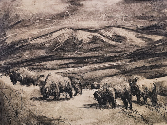 Original Charcoal Drawing of a Bison Herd